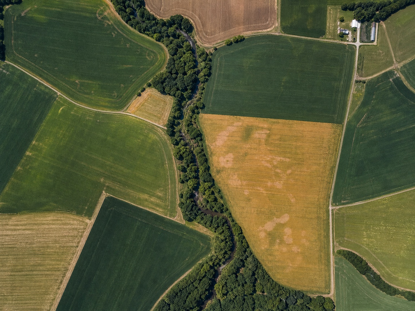 Top-down drone map of green and gold Ohio farm fields